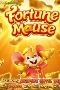 Fortune Mousse en MXTORO COM